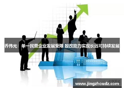 乔伟光：单一民营企业发展受限 股改助力实现长远可持续发展