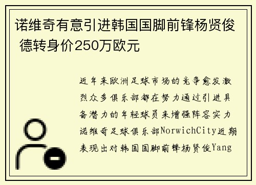 诺维奇有意引进韩国国脚前锋杨贤俊 德转身价250万欧元
